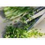 Ножницы для нарезки зелени Тосс и Чоп Грин (TOSS & CHOP GREEN) купить в TVshoper.ru